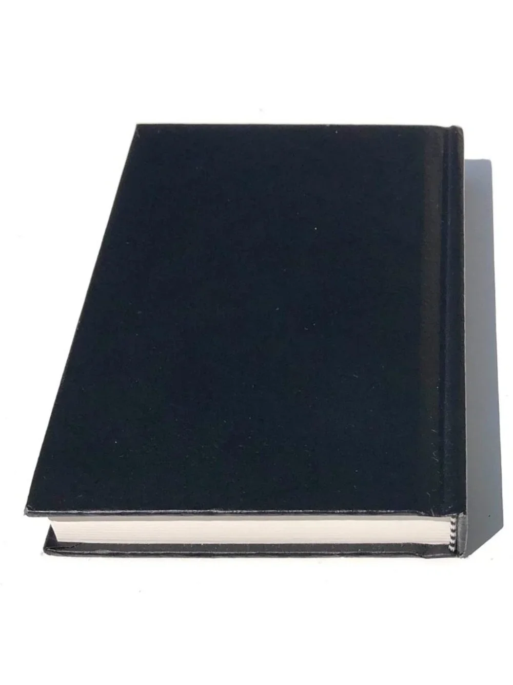 Canson Premium Lined Journal 4